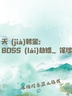 天價(jià)聘金：BOSS來(lái)劫婚